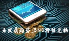 TPWallet未来发展趋势：BNB跨链兑换HT的