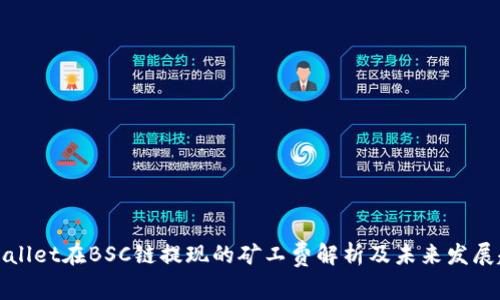 TPWallet在BSC链提现的矿工费解析及未来发展趋势