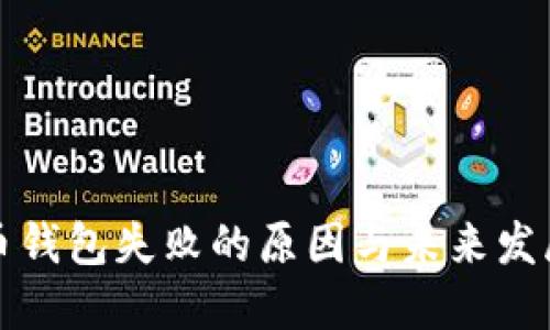 狗狗币钱包失败的原因与未来发展趋势