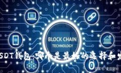 未来的USDT钱包：哪个是最好的选择和