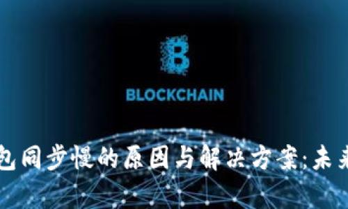 以太坊钱包同步慢的原因与解决方案：未来趋势分析