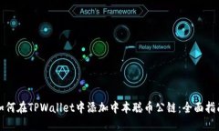 如何在TPWallet中添加中本聪币公链：全
