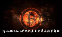 tpwalletdmd矿池的未来发展与趋势解析