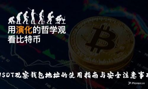 USDT观察钱包地址的使用指南与安全注意事项