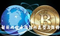 全面解析比特币钱包的类型与选择指南
