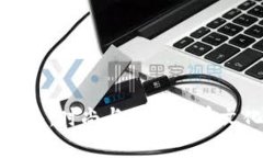 狗狗币刺绣钱包：时尚与加密货币文化