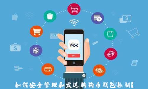 
如何安全管理和发送狗狗币钱包私钥？