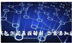 比特币钱包倒闭原因解析：你需要知道