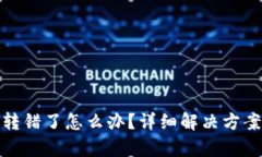 tpwallet币转错了怎么办？详细解决方案