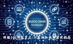 理解SOL钱包节点：从基础知识到实践指