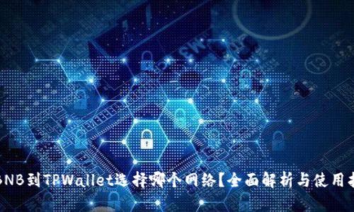 提BNB到TPWallet选择哪个网络？全面解析与使用指南