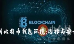 全面解析比特币钱包环境：选择与安全