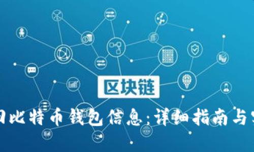 如何找回比特币钱包信息：详细指南与实用技巧