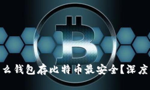 2023年：什么钱包存比特币最安全？深度解析与推荐