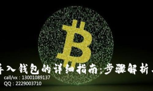 电脑版狗狗币导入钱包的详细指南：步骤解析与常见问题解答