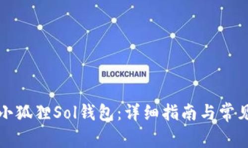 如何配置小狐狸Sol钱包：详细指南与常见问题解析