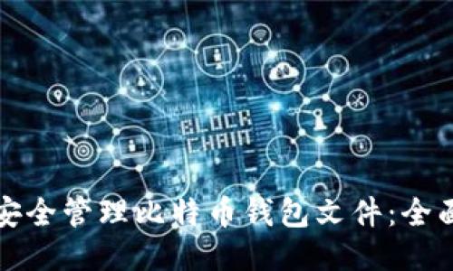 如何安全管理比特币钱包文件：全面指南