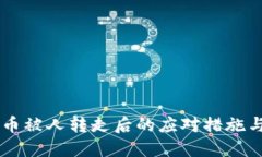 TPWallet币被人转走后的应对措施与安全