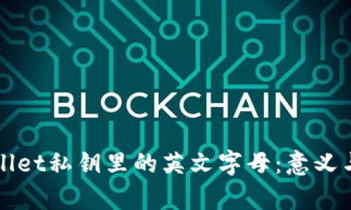 : 解密TPWallet私钥里的英文字母：意义与安全性解析