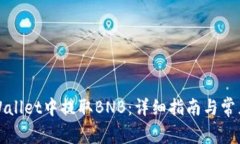 如何在TPWallet中提取BNB：详细指南与常