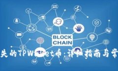 如何找回消失的TPWallet币：详细指南与