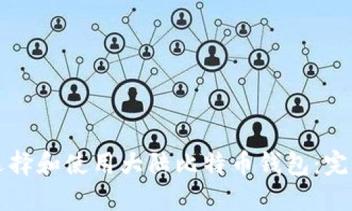 如何选择和使用大陆比特币钱包：完全指南