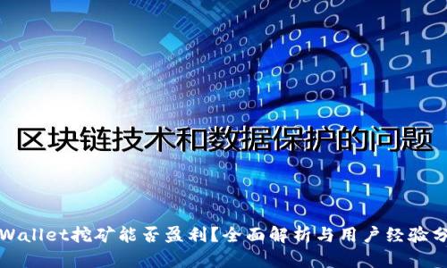 TPWallet挖矿能否盈利？全面解析与用户经验分享