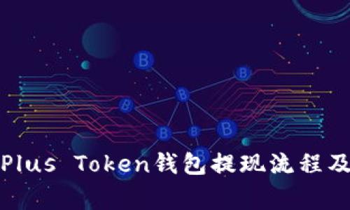 全面解析Plus Token钱包提现流程及注意事项