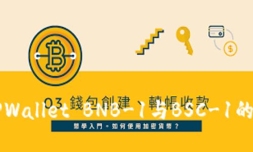 深入解析TPWallet BNB-1与BSC-1的区别与应用